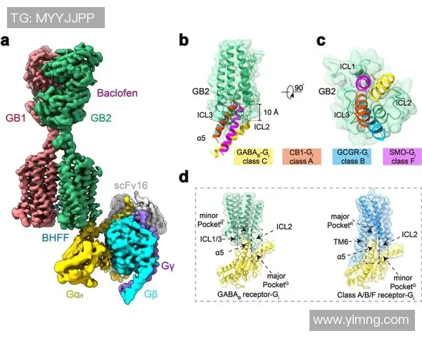足球球星游戏版权争夺战揭秘 全球顶级联赛与俱乐部合作模式分析